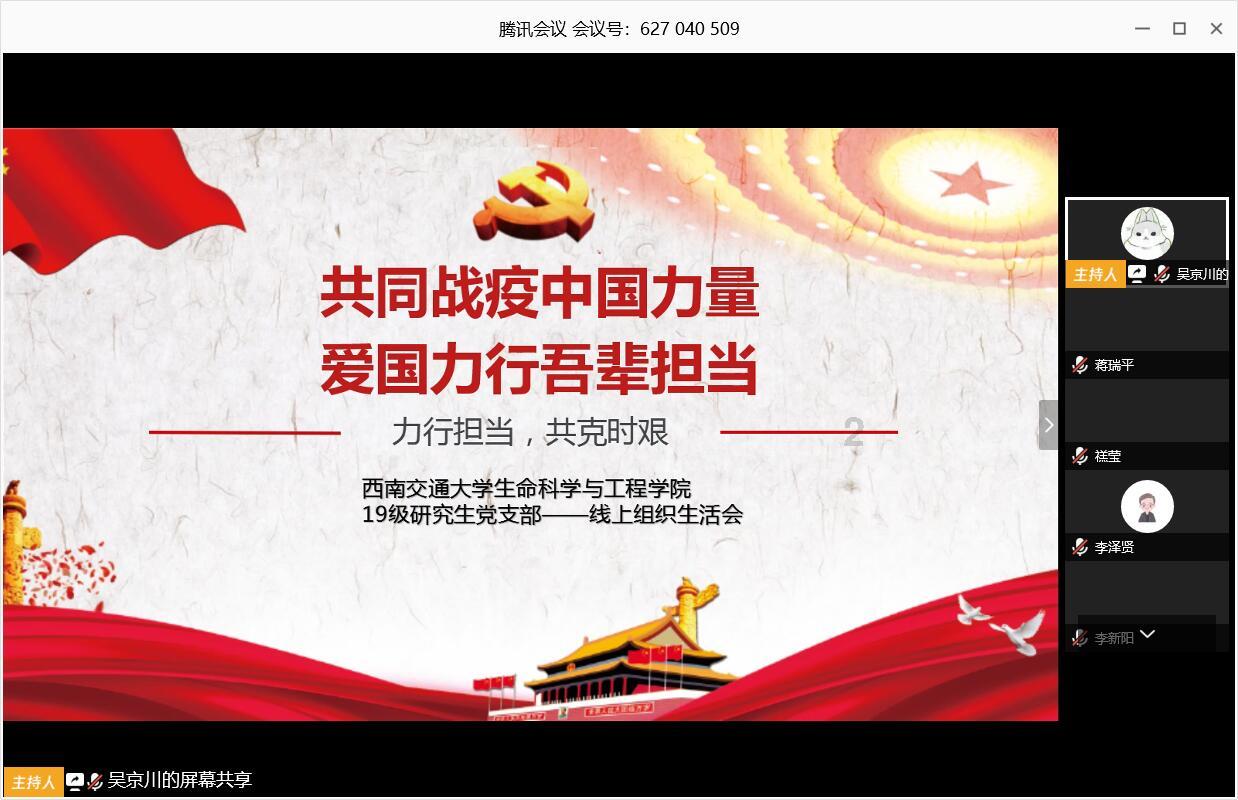 敏捷的白球