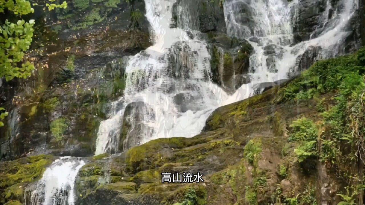 我是孙二谋